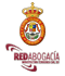 Manuales del Alumno de los Cursos de Abogac�a Digital