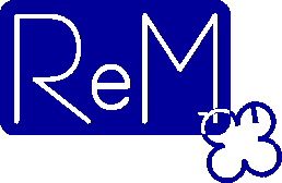 REM Informtica