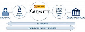 LexNet